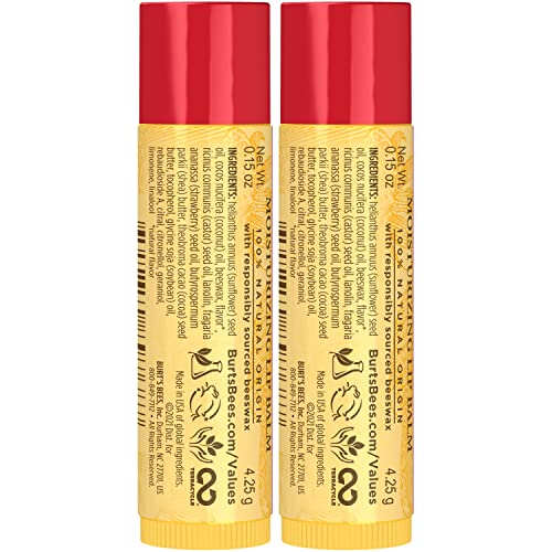 Burt's Bees Lip Balm Stocking Stuffers, Moisturizing Lip Care Christmas Gifts, SuperFruit - Pomegranate, Coconut & Pear, Mango, Pink Grapefruit, Natural Origin Treatment (4-Pack)