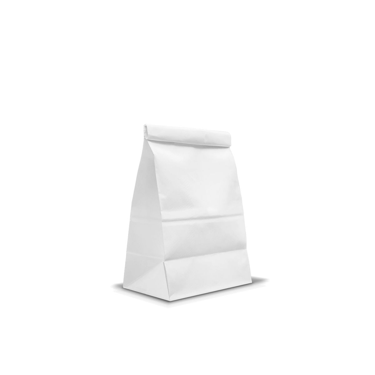 Safetec Poly-Lined Paper Bag (Vomit)