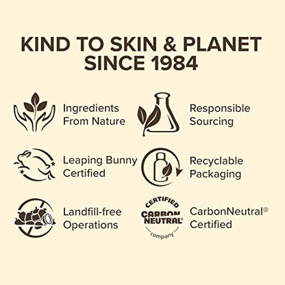 Burt's Bees Lip Balm Stocking Stuffers, Moisturizing Lip Care Christmas Gifts, SuperFruit - Pomegranate, Coconut & Pear, Mango, Pink Grapefruit, Natural Origin Treatment (4-Pack)