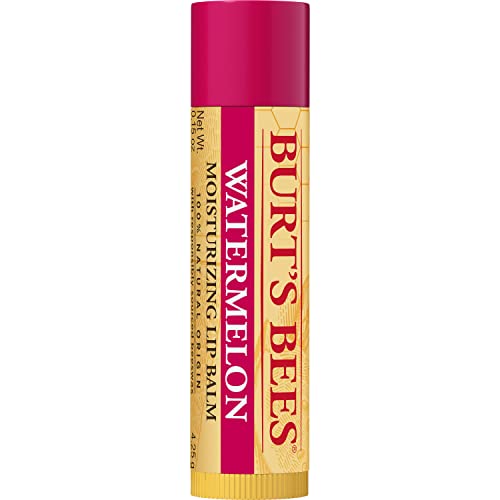 Burt's Bees Lip Balm Stocking Stuffers, Moisturizing Lip Care Christmas Gifts, SuperFruit - Pomegranate, Coconut & Pear, Mango, Pink Grapefruit, Natural Origin Treatment (4-Pack)