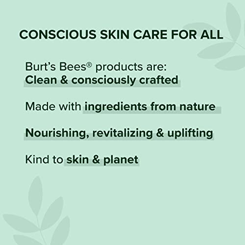 Burt's Bees Lip Balm Stocking Stuffers, Moisturizing Lip Care Christmas Gifts, SuperFruit - Pomegranate, Coconut & Pear, Mango, Pink Grapefruit, Natural Origin Treatment (4-Pack)