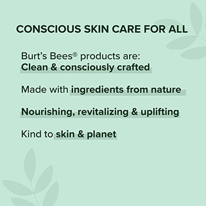 Burt's Bees Lip Balm Stocking Stuffers, Moisturizing Lip Care Christmas Gifts, SuperFruit - Pomegranate, Coconut & Pear, Mango, Pink Grapefruit, Natural Origin Treatment (4-Pack)