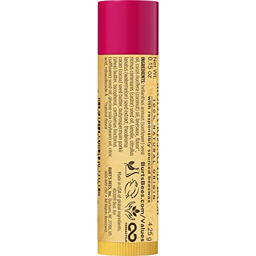 Burt's Bees Lip Balm Stocking Stuffers, Moisturizing Lip Care Christmas Gifts, SuperFruit - Pomegranate, Coconut & Pear, Mango, Pink Grapefruit, Natural Origin Treatment (4-Pack)