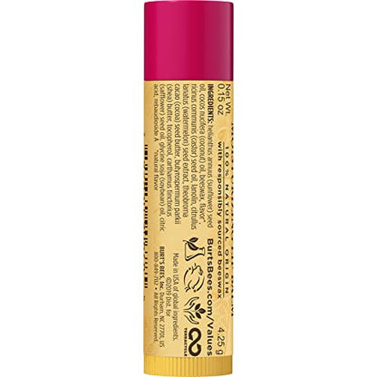 Burt's Bees Lip Balm Stocking Stuffers, Moisturizing Lip Care Christmas Gifts, SuperFruit - Pomegranate, Coconut & Pear, Mango, Pink Grapefruit, Natural Origin Treatment (4-Pack)