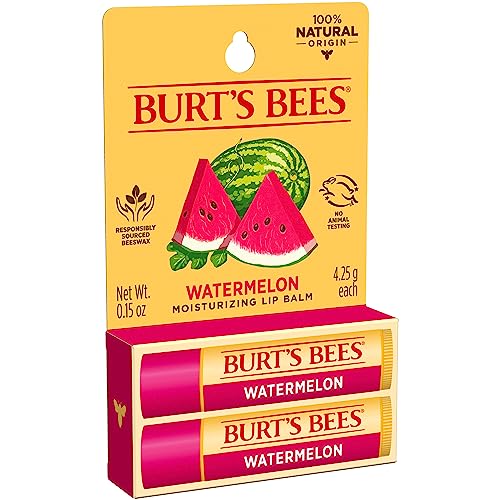 Burt's Bees Lip Balm Stocking Stuffers, Moisturizing Lip Care Christmas Gifts, SuperFruit - Pomegranate, Coconut & Pear, Mango, Pink Grapefruit, Natural Origin Treatment (4-Pack)