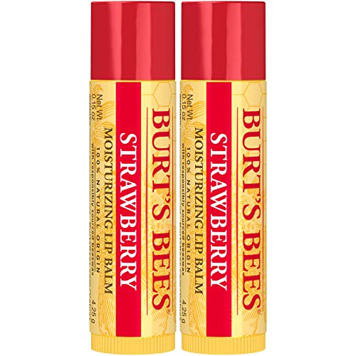 Burt's Bees Lip Balm Stocking Stuffers, Moisturizing Lip Care Christmas Gifts, SuperFruit - Pomegranate, Coconut & Pear, Mango, Pink Grapefruit, Natural Origin Treatment (4-Pack)