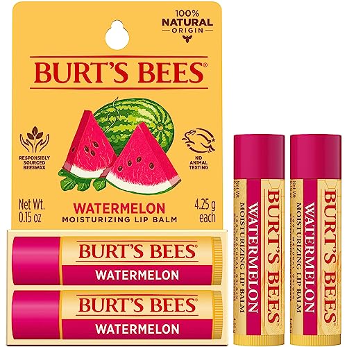 Burt's Bees Lip Balm Stocking Stuffers, Moisturizing Lip Care Christmas Gifts, SuperFruit - Pomegranate, Coconut & Pear, Mango, Pink Grapefruit, Natural Origin Treatment (4-Pack)