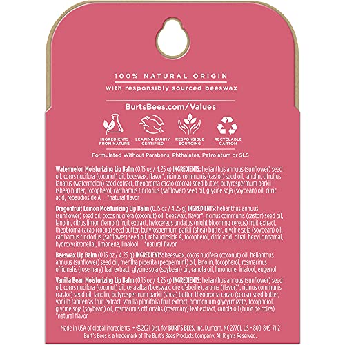 Burt's Bees Lip Balm Stocking Stuffers, Moisturizing Lip Care Christmas Gifts, SuperFruit - Pomegranate, Coconut & Pear, Mango, Pink Grapefruit, Natural Origin Treatment (4-Pack)