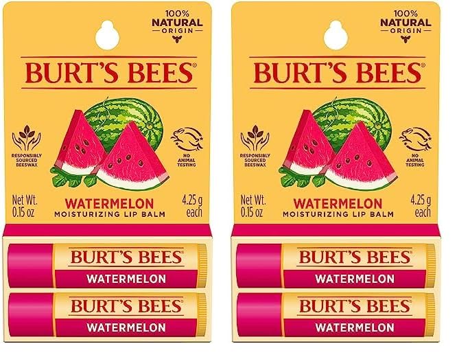 Burt's Bees Lip Balm Stocking Stuffers, Moisturizing Lip Care Christmas Gifts, SuperFruit - Pomegranate, Coconut & Pear, Mango, Pink Grapefruit, Natural Origin Treatment (4-Pack)